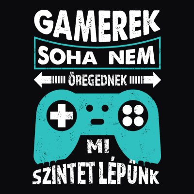 GAMEREK NEM ÖREGEDNEK SZÜLINAPI Póló